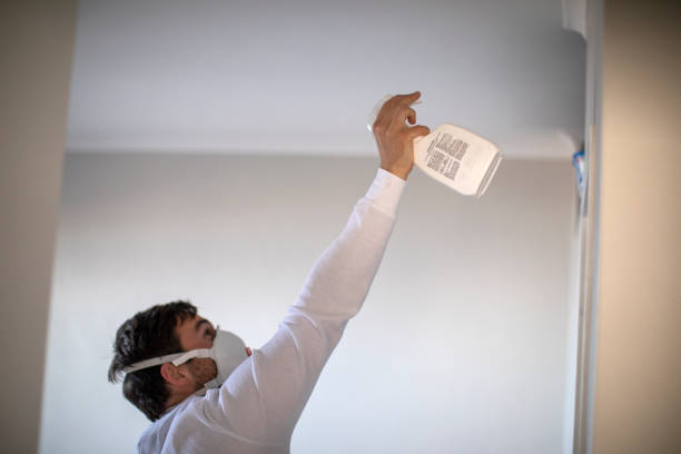 Best Same-Day Mold Removal  in Kekoskee, WI