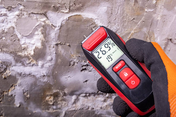 Best Residential Mold Removal  in Kekoskee, WI