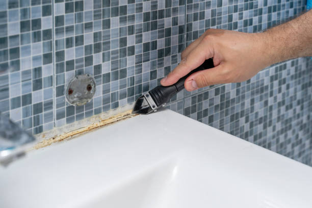 Best Mold Cleaning Services  in Kekoskee, WI