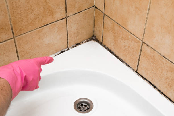 Best Office Mold Removal Services  in Kekoskee, WI